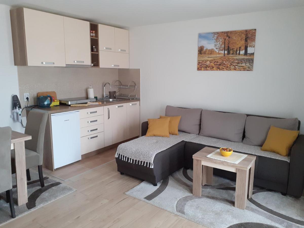 Apartman Nena Pirot Zewnętrze zdjęcie